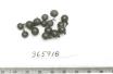 Click for 1 image(s) for this accession. FRUIT